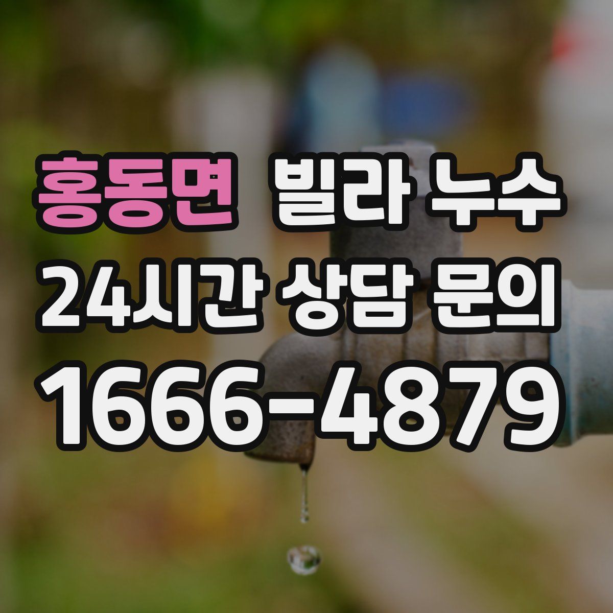 홍동면 빌라 누수