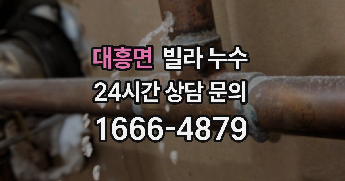 대흥면 빌라 누수