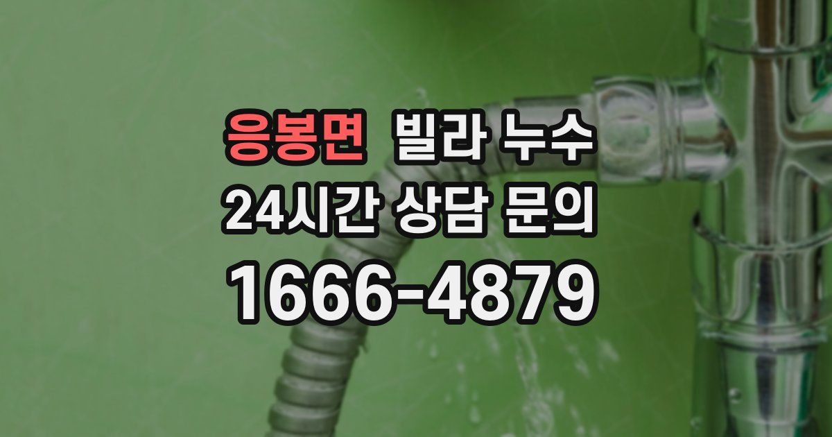 응봉면 빌라 누수