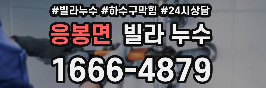 응봉면 빌라 누수