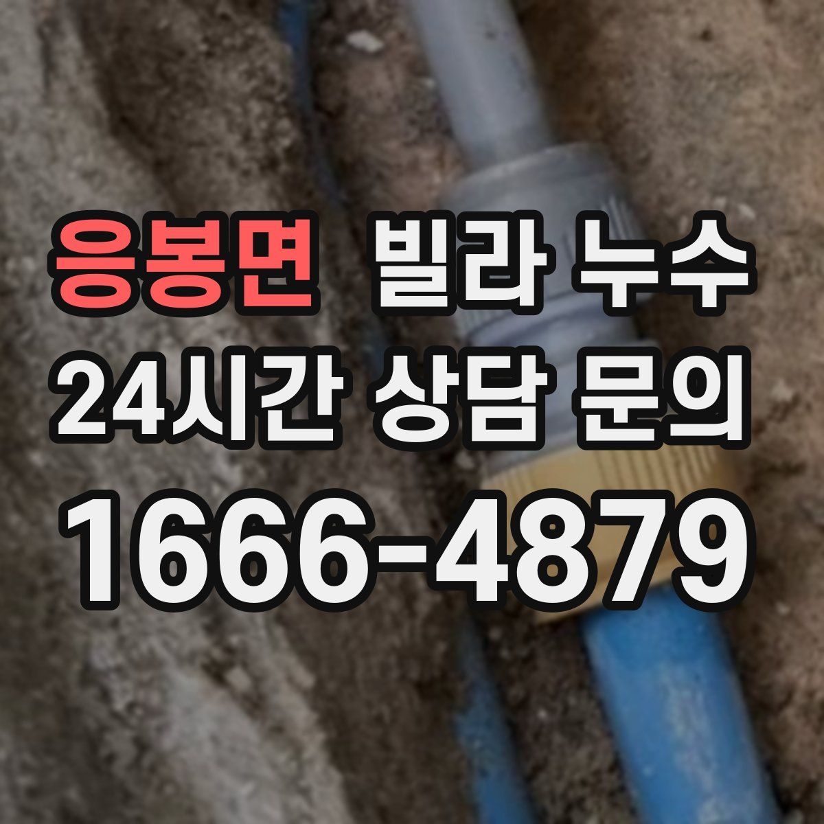 응봉면 빌라 누수