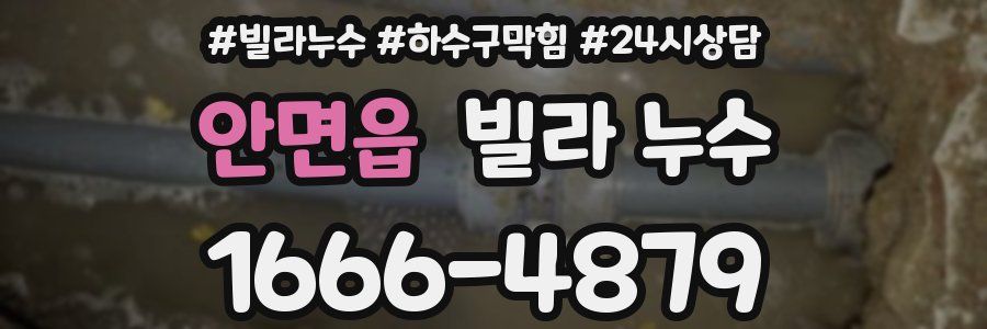안면읍 빌라 누수