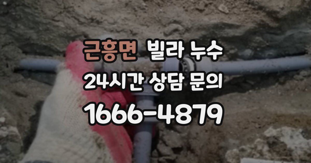 근흥면 빌라 누수