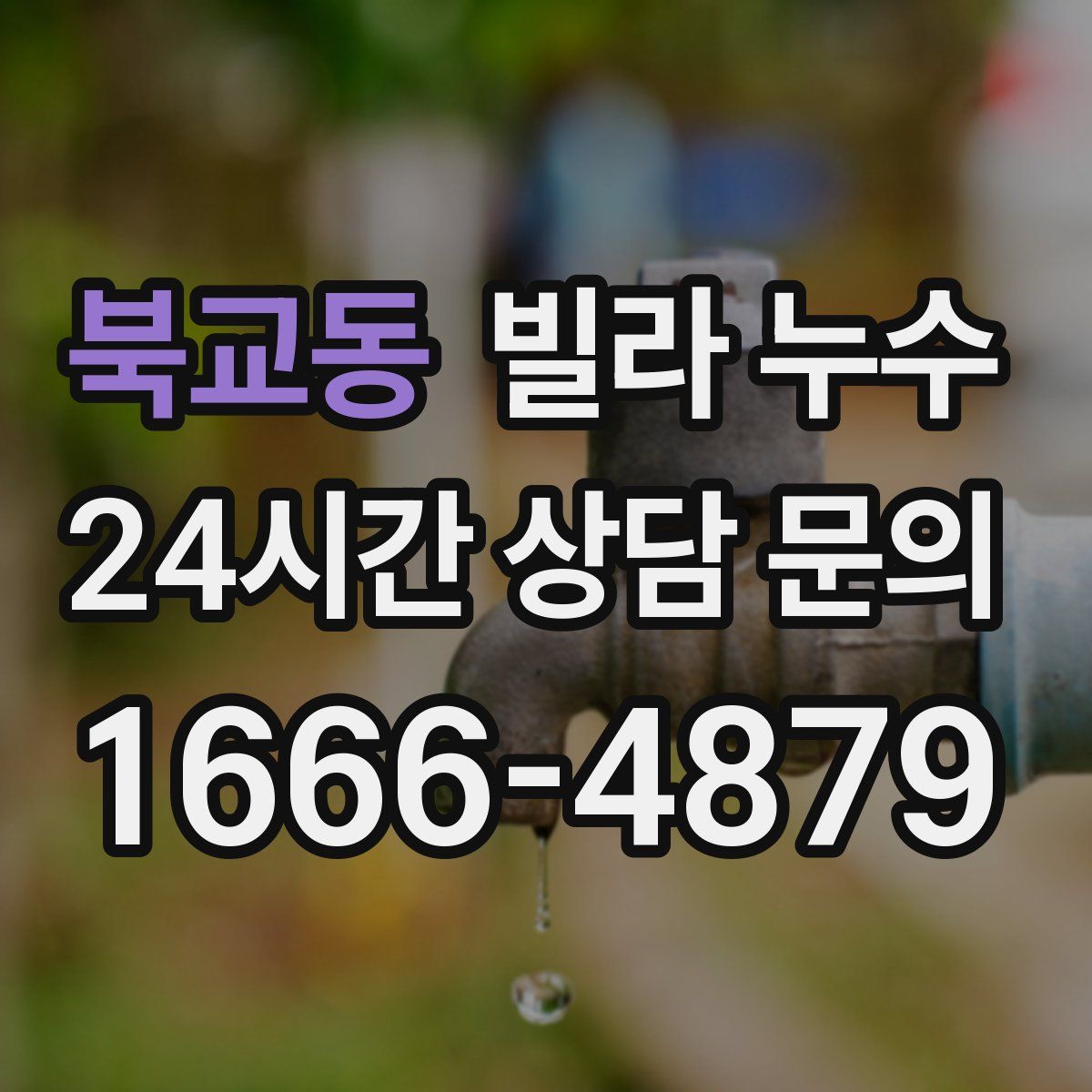 북교동 빌라 누수