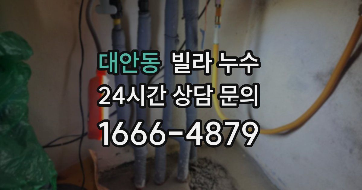 대안동 빌라 누수
