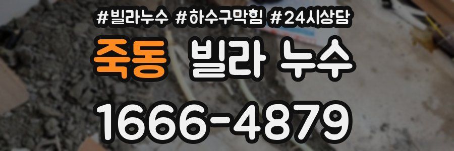 죽동 빌라 누수