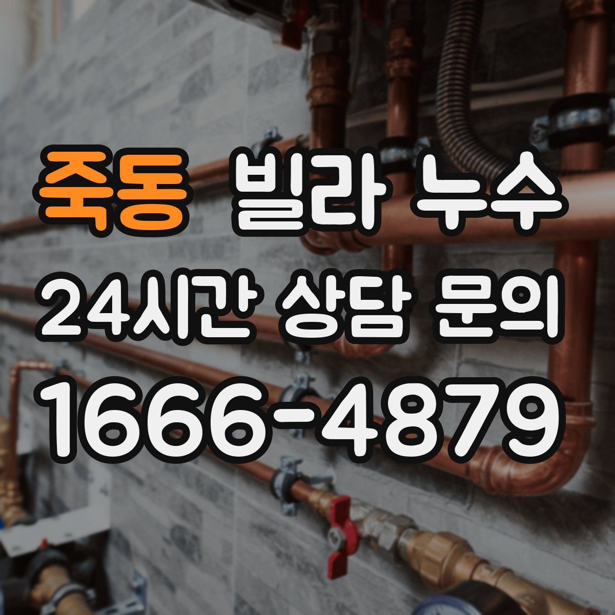 죽동 빌라 누수