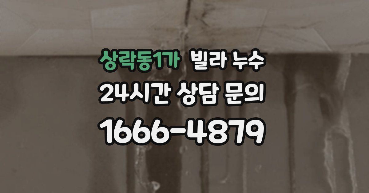 상락동1가 빌라 누수