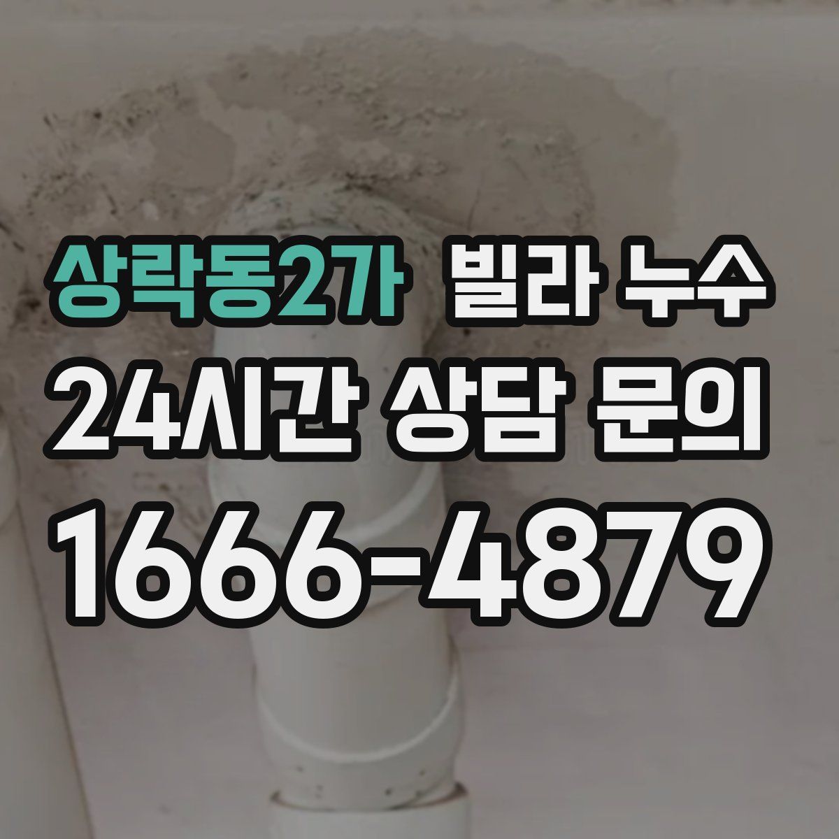 상락동2가 빌라 누수