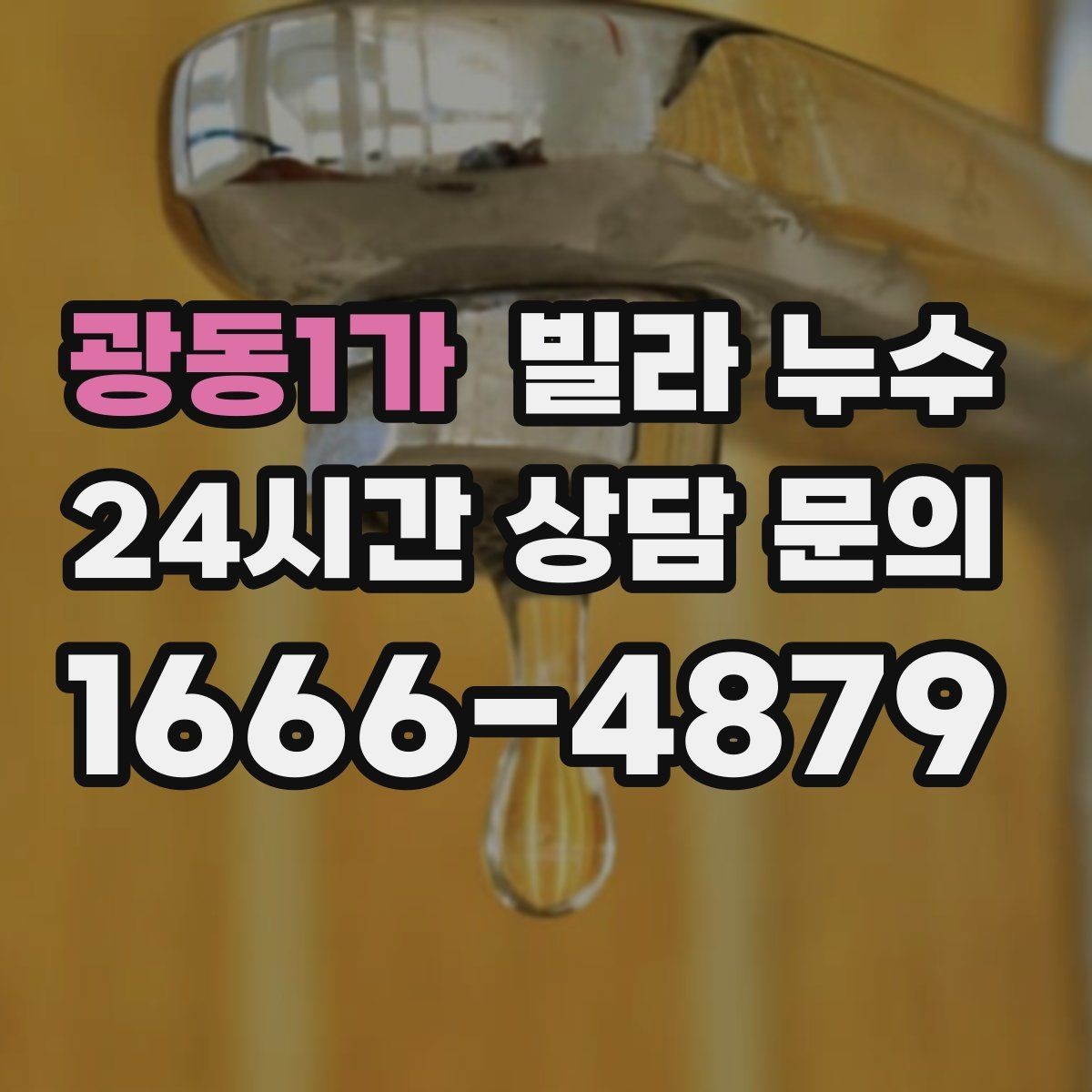 광동1가 빌라 누수 비 올 때만 젖는 벽은 어디가 문제일까