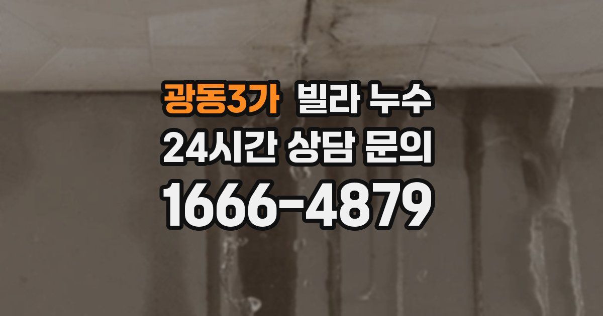 광동3가 빌라 누수