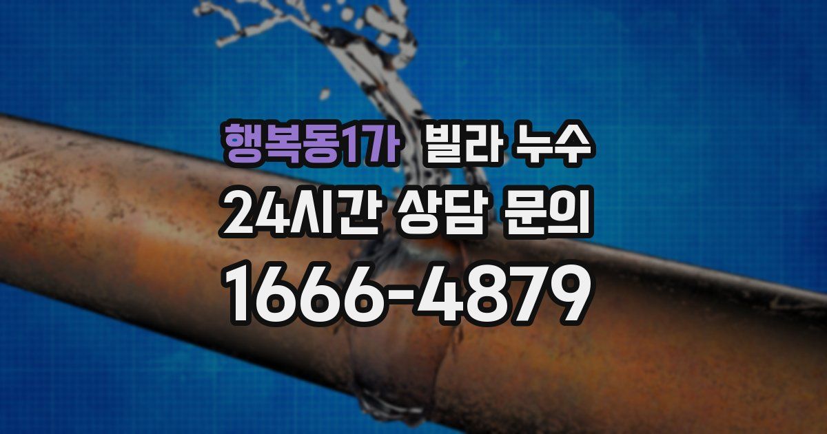 행복동1가 빌라 누수