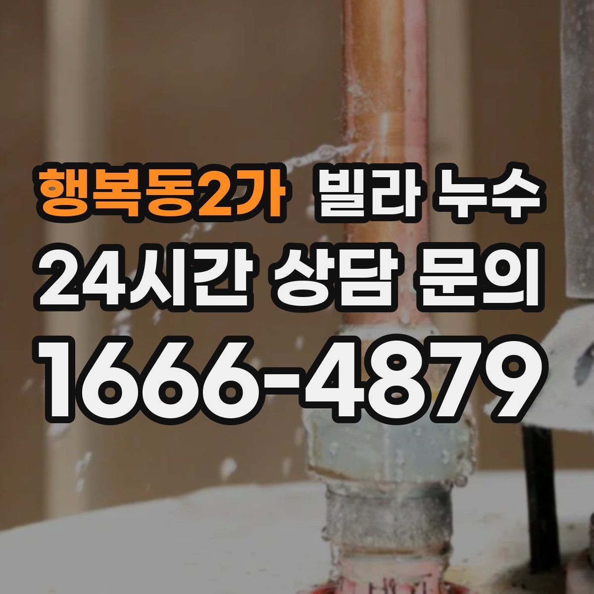 행복동2가 빌라 누수 거실 벽이 젖는다면 어디부터 볼까