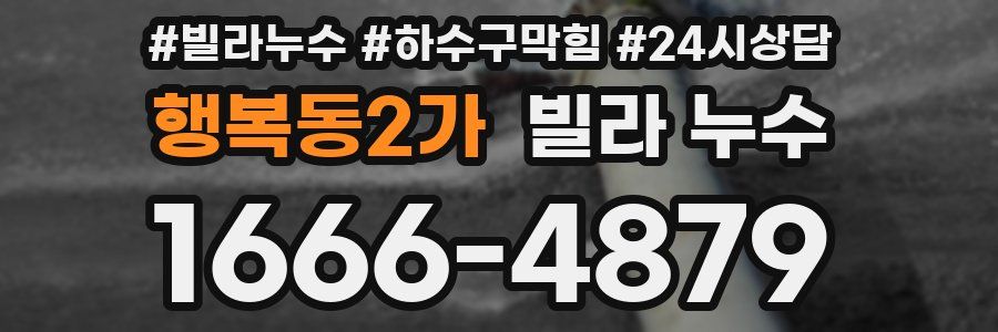 행복동2가 빌라 누수