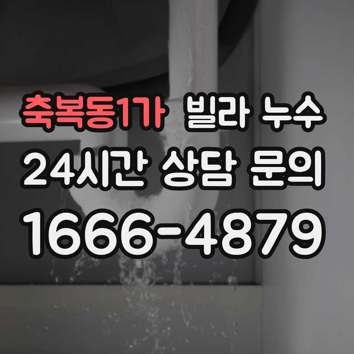 축복동1가 빌라 누수