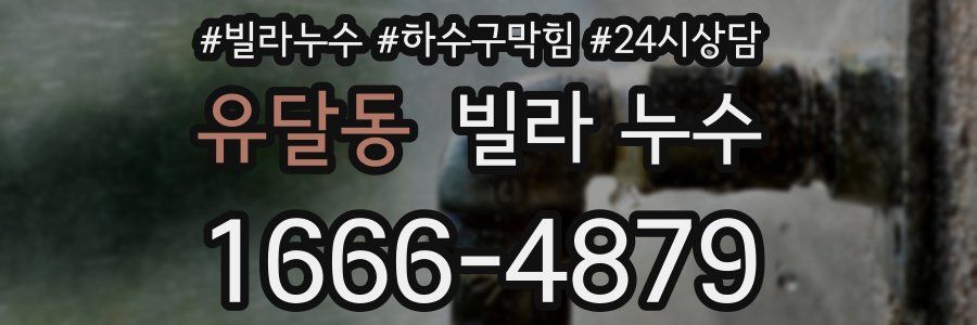 유달동 빌라 누수