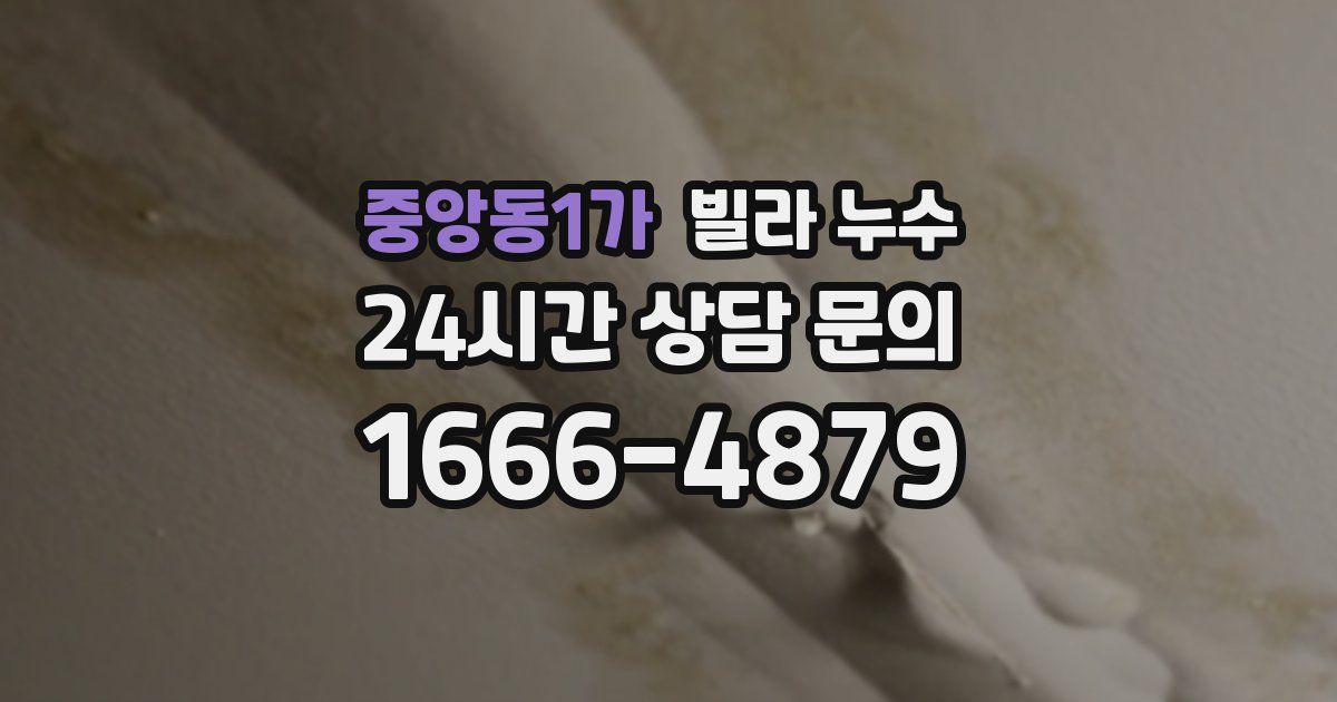 중앙동1가 빌라 누수