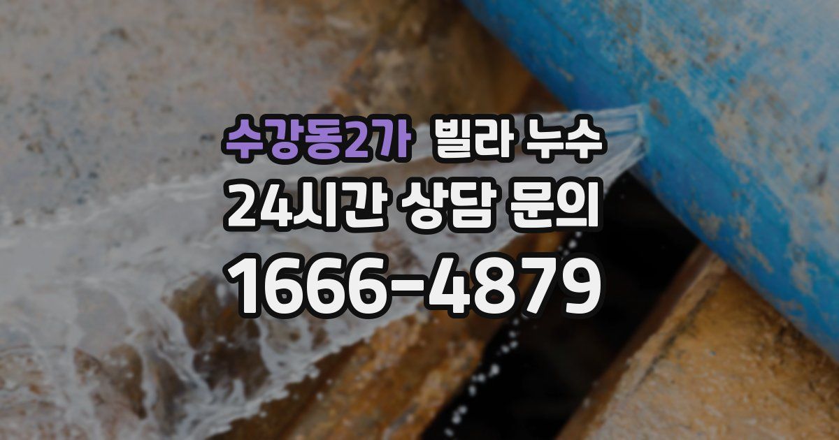 수강동2가 빌라 누수