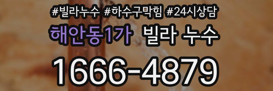 해안동1가 빌라 누수