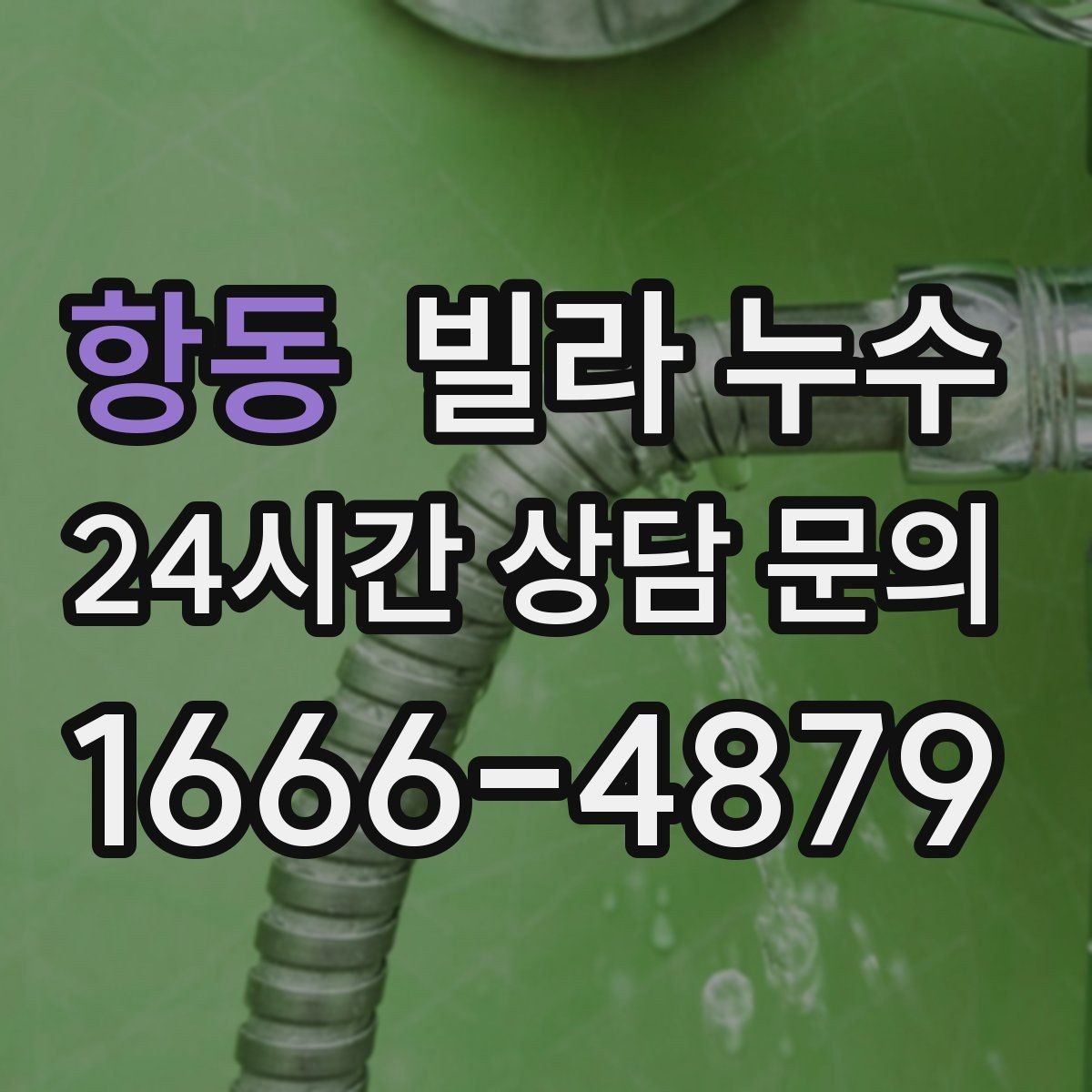 항동 빌라 누수 벽 모서리 곰팡이가 늘면 확인할 곳