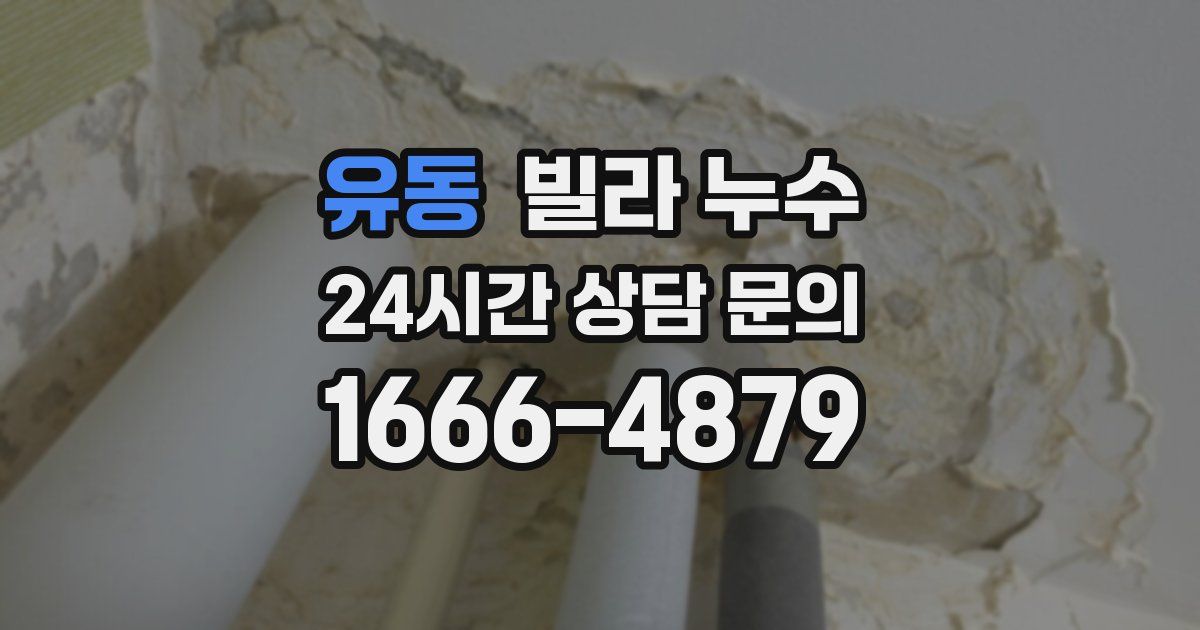 유동 빌라 누수