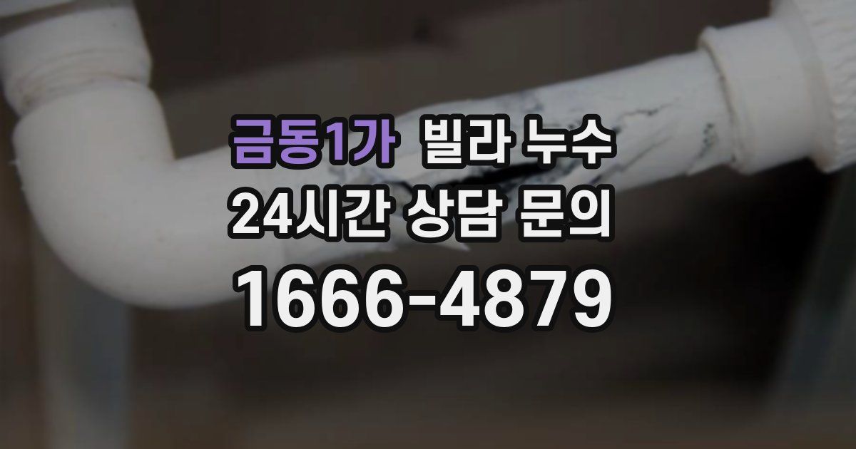 금동1가 빌라 누수