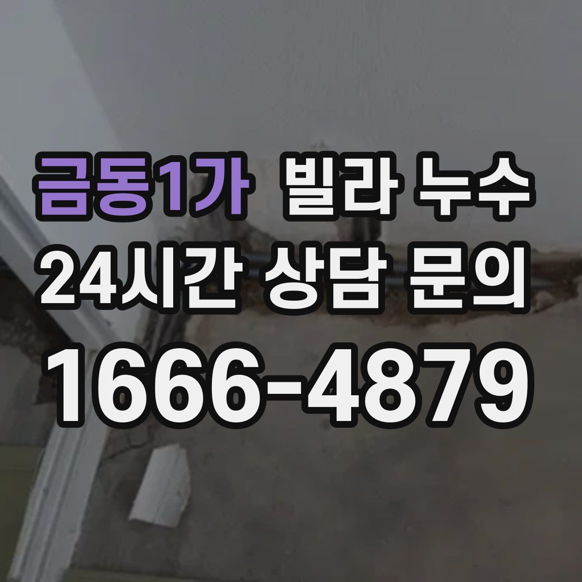 금동1가 빌라 누수