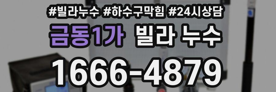 금동1가 빌라 누수