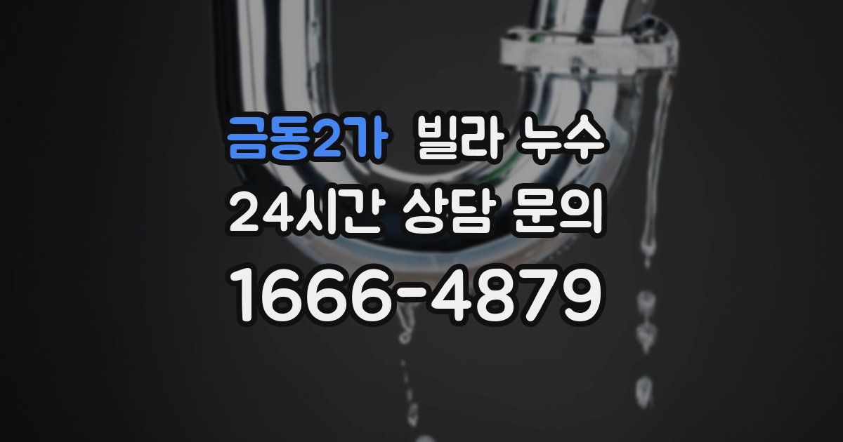 금동2가 빌라 누수