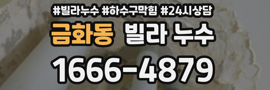 금화동 빌라 누수