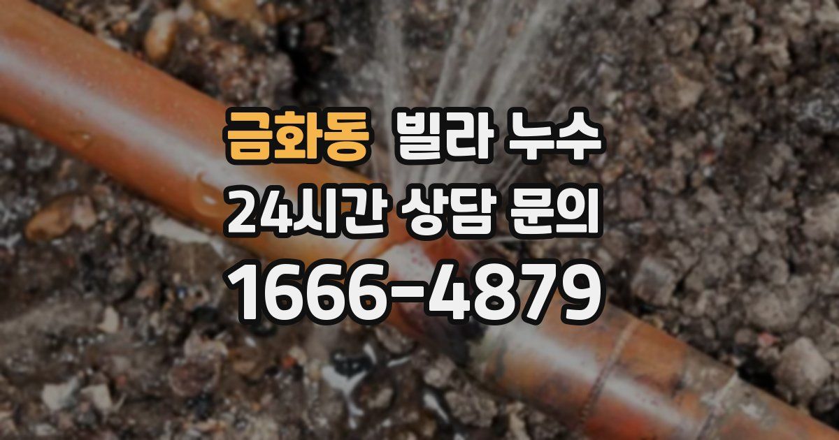 금화동 빌라 누수
