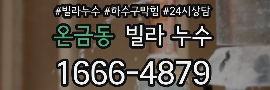 온금동 빌라 누수