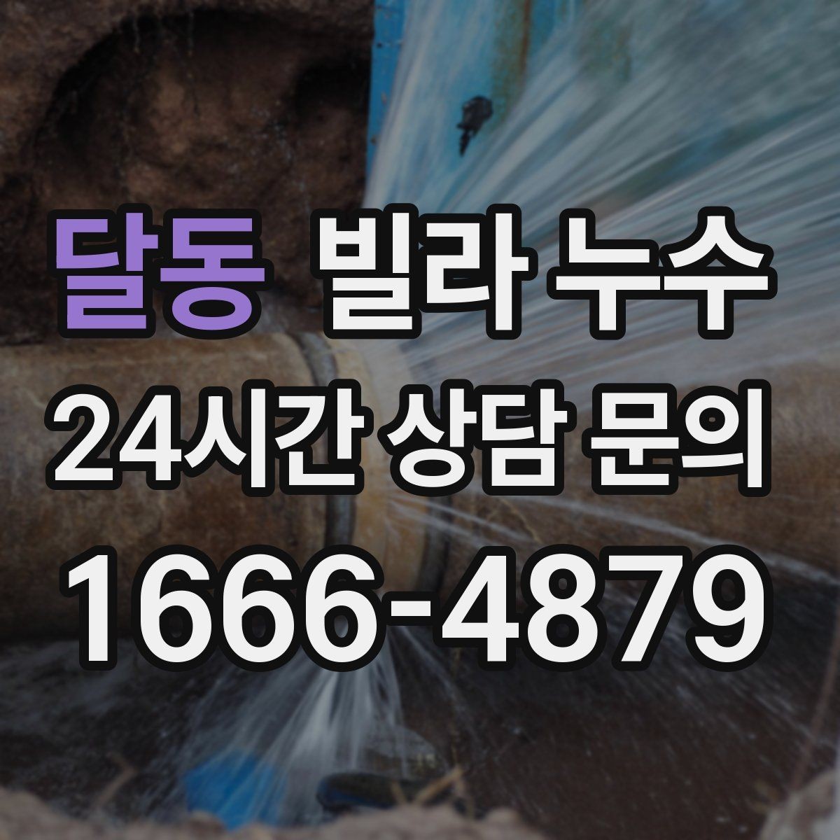 달동 빌라 누수 젖은 벽 근처 전기 사용 전 주의사항