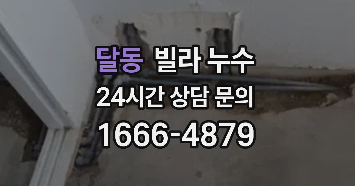 달동 빌라 누수