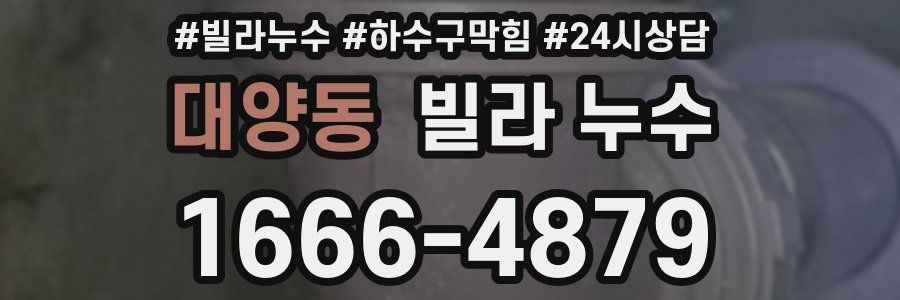 대양동 빌라 누수