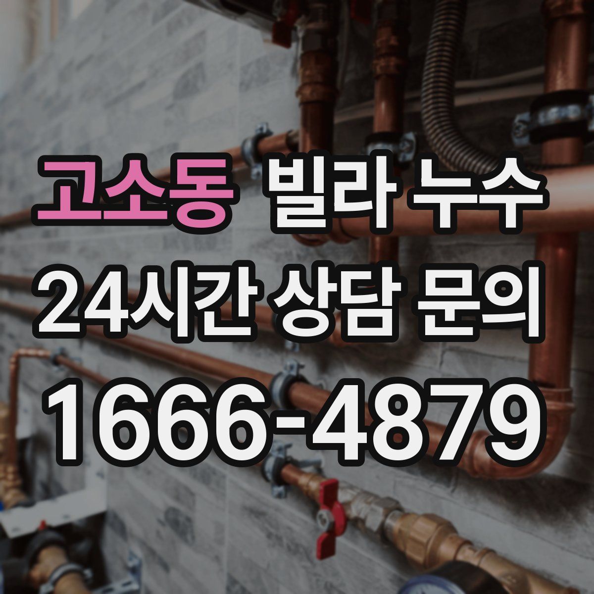 고소동 빌라 누수