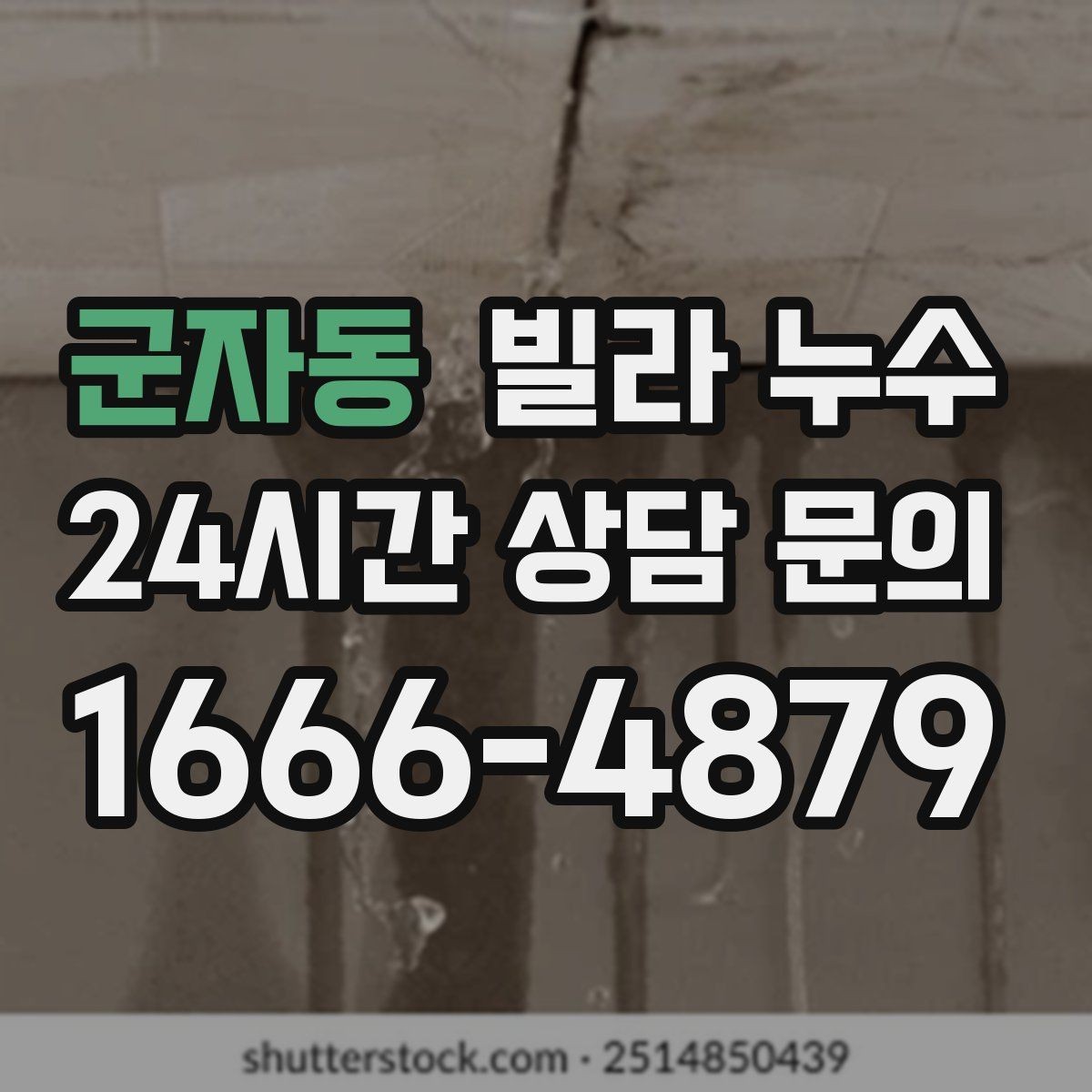 군자동 빌라 누수 벽면 페인트가 부풀면 내부 습기 가능성