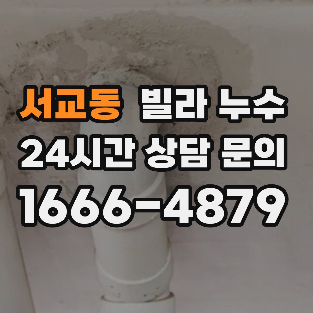 서교동 빌라 누수