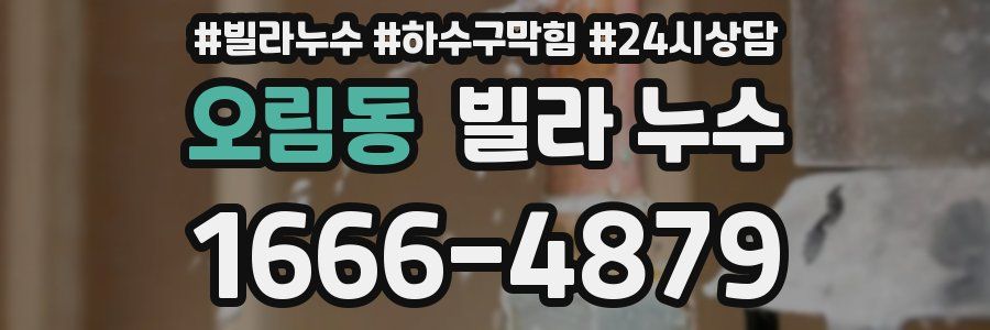 오림동 빌라 누수