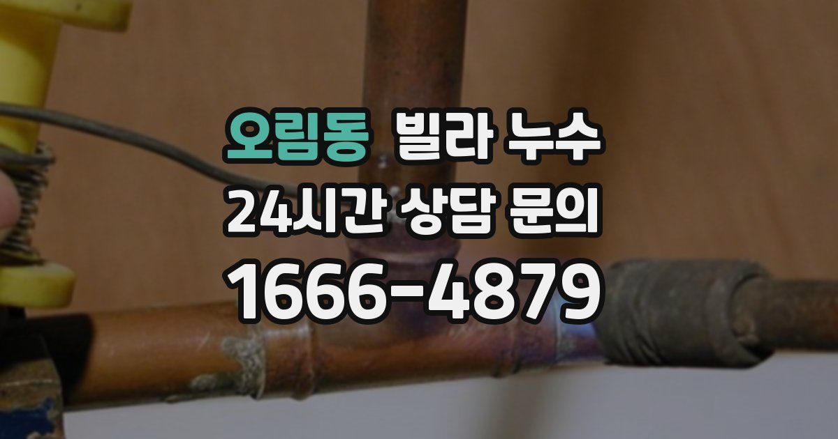 오림동 빌라 누수