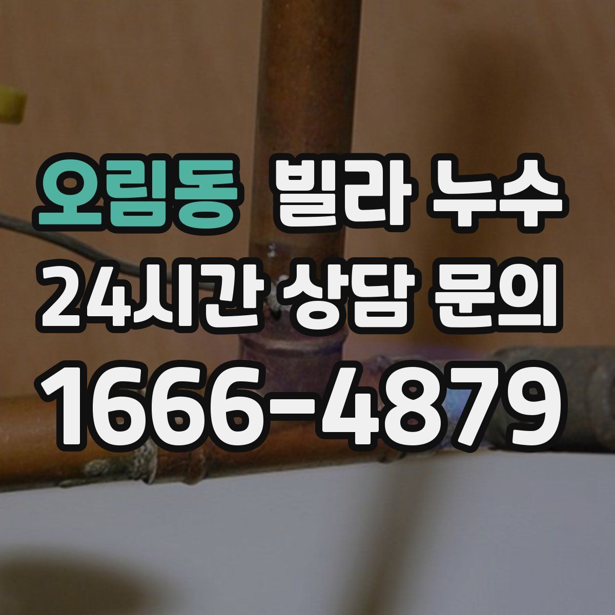 오림동 빌라 누수