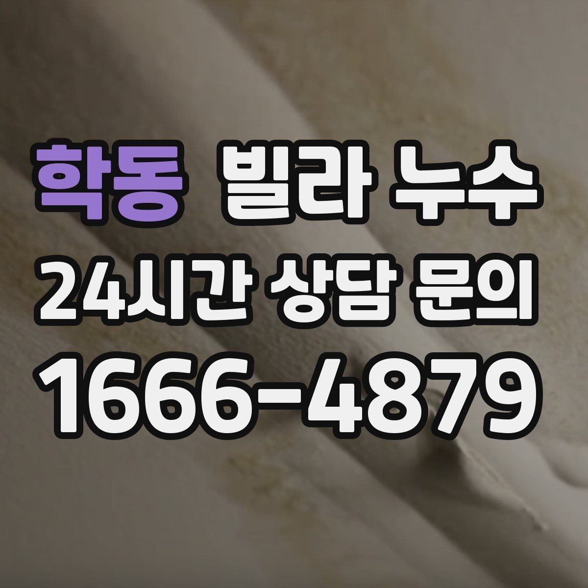 학동 빌라 누수 세탁실 배수구가 넘치면 누수처럼 보일 수 있어요