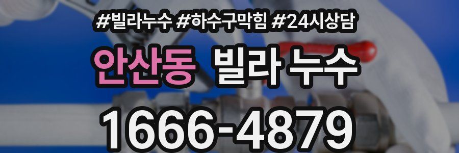 안산동 빌라 누수