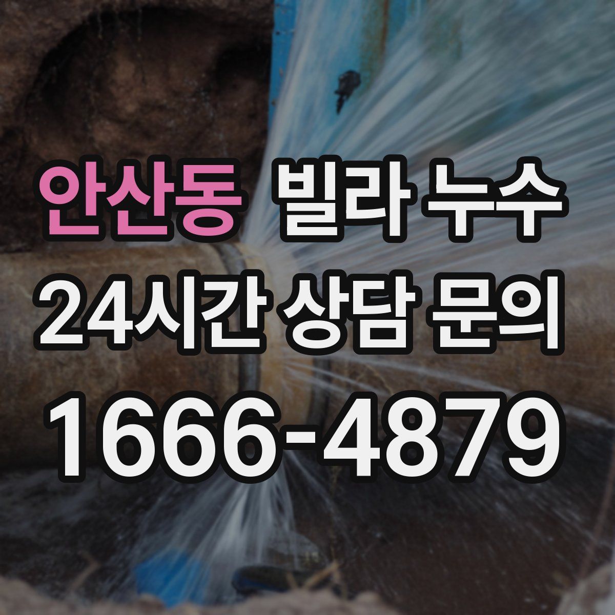 안산동 빌라 누수