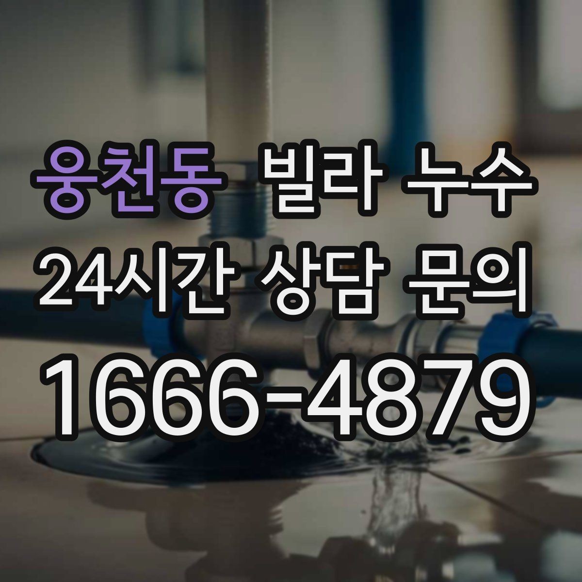 웅천동 빌라 누수 배수구 주변이 항상 젖어 있다면
