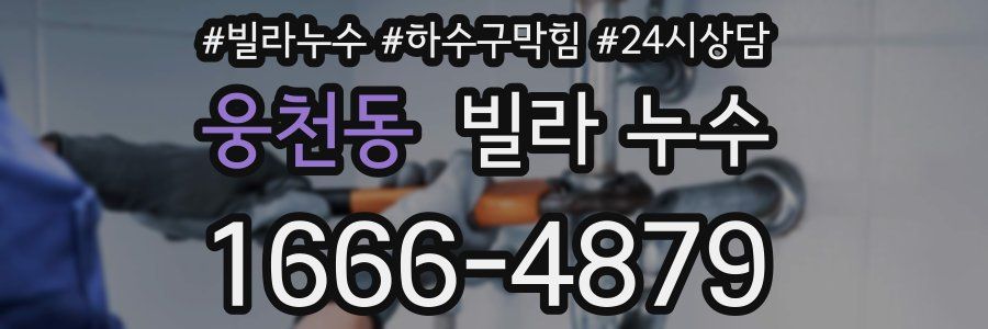 웅천동 빌라 누수