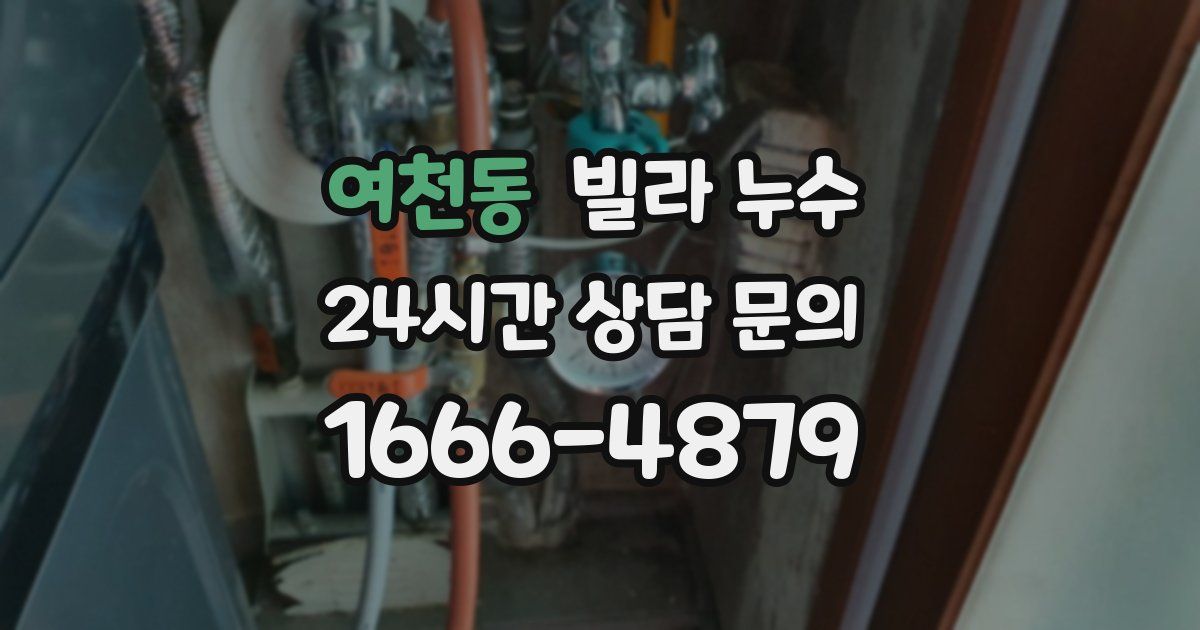 여천동 빌라 누수