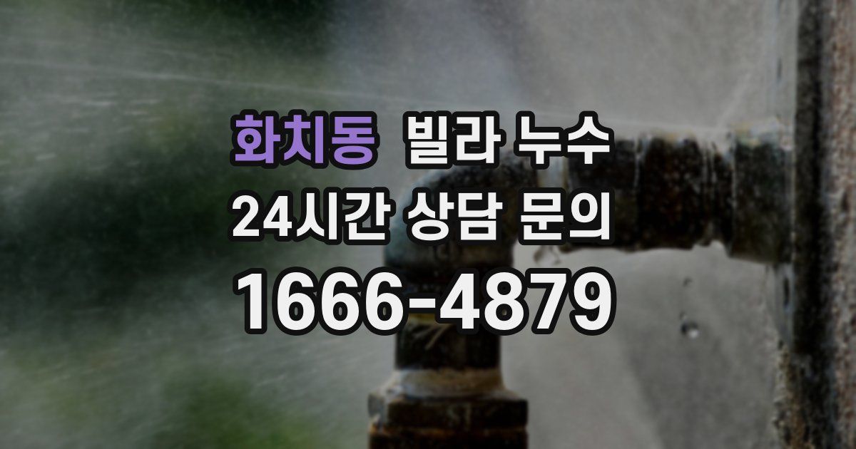 화치동 빌라 누수