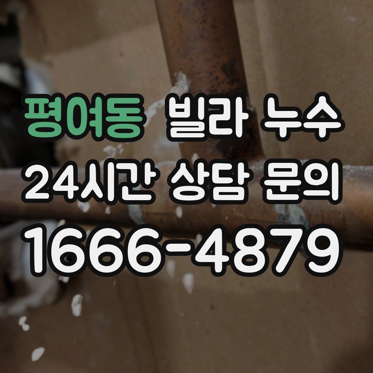평여동 빌라 누수 공동현관 쪽 벽이 젖는다면 외부 유입 가능성