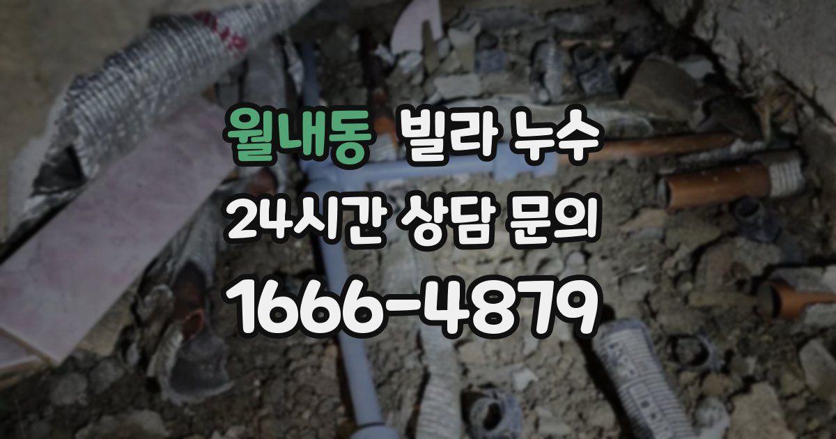 월내동 빌라 누수